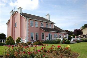 Ballingowan House Newcastle West Ngoại thất bức ảnh