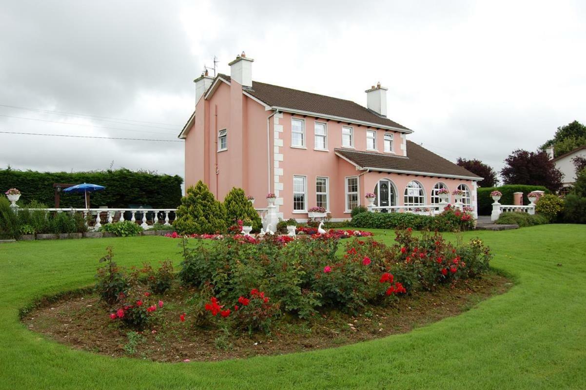 Ballingowan House Newcastle West Ngoại thất bức ảnh
