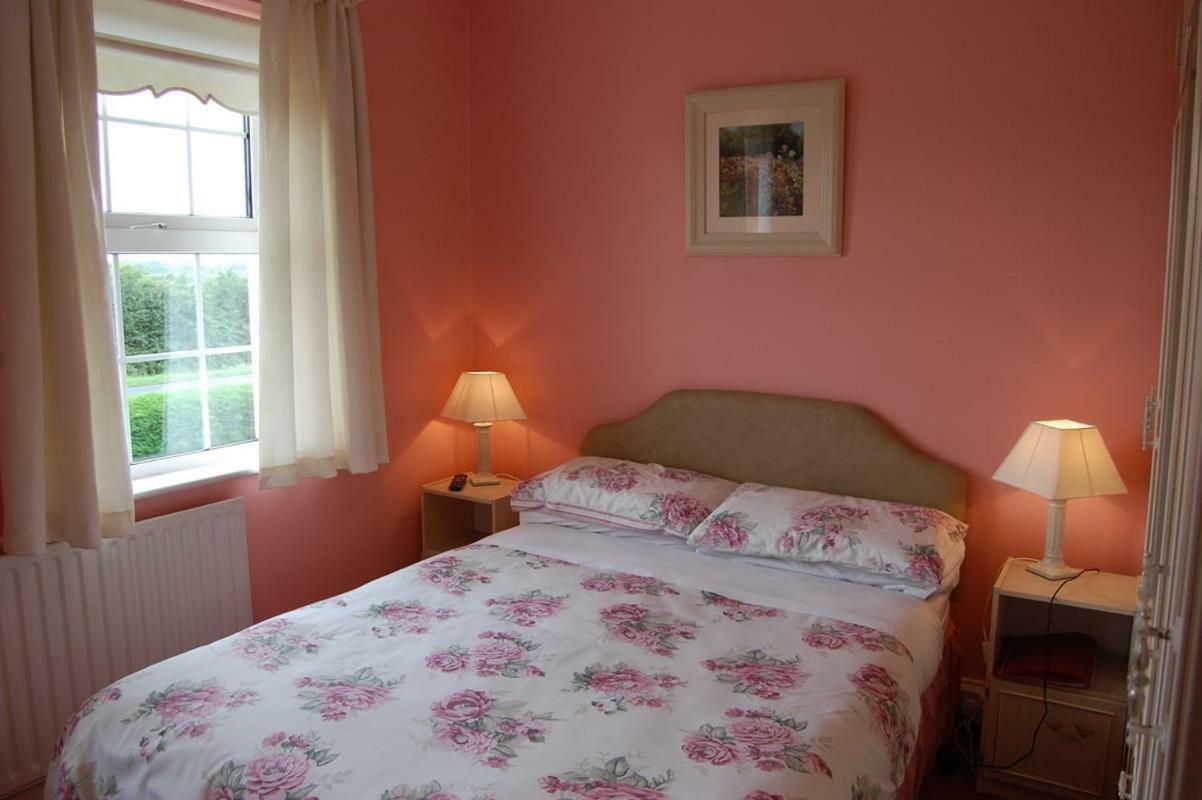 Ballingowan House Newcastle West Ngoại thất bức ảnh